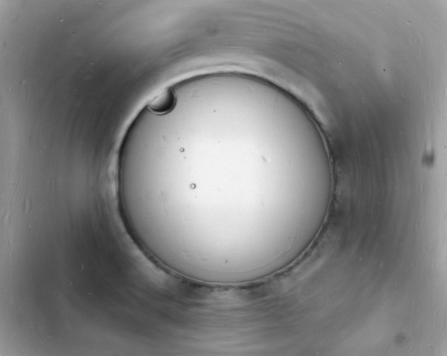 X0000103971516200809191523