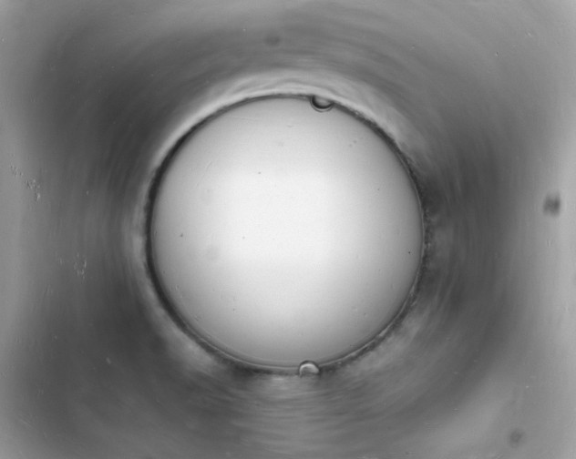 X0000103971518200809191523