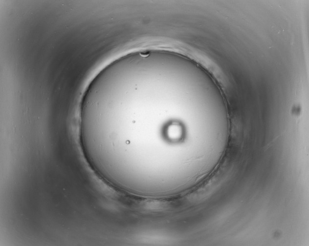 X0000103971520200809191523