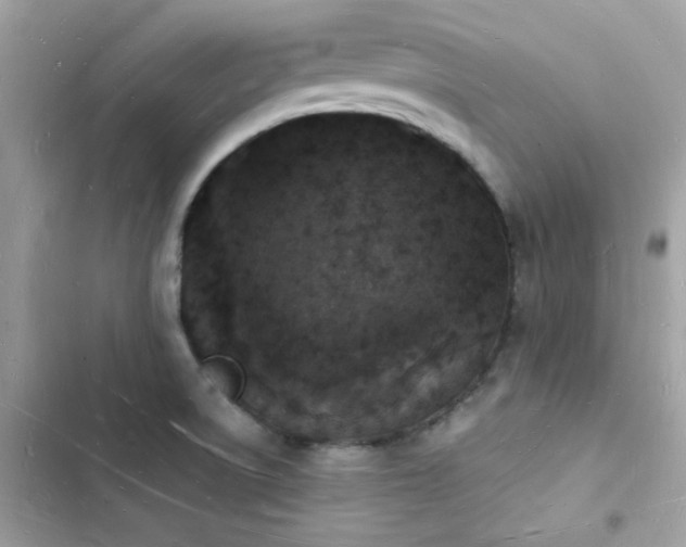 X0000103971522200809191523