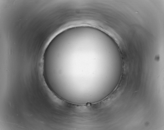 X0000103971524200809191523