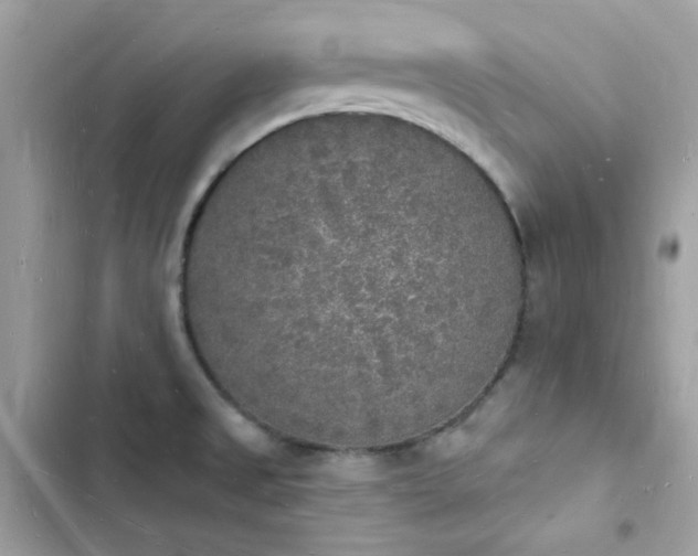 X0000103971525200809191523