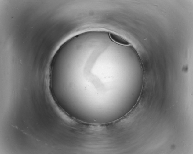 X0000103971526200809191523