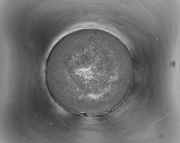 X0000103971527200809191523