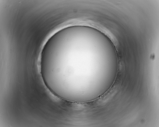 X0000103971528200809191523