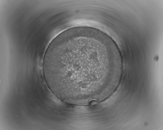 X0000103971529200809191523