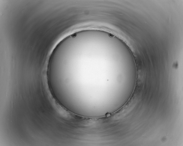 X0000103971530200809191523