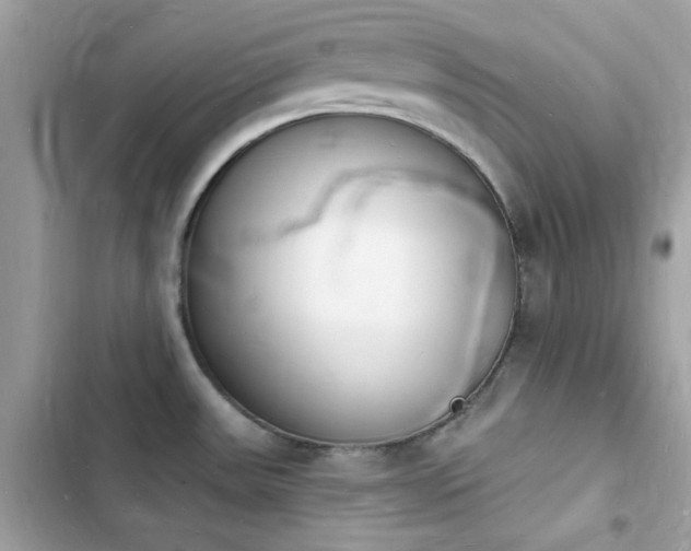 X0000103971531200809191523