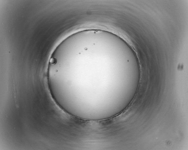 X0000103971536200809191523