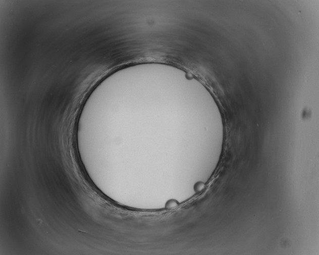 X0000103970001200809261844