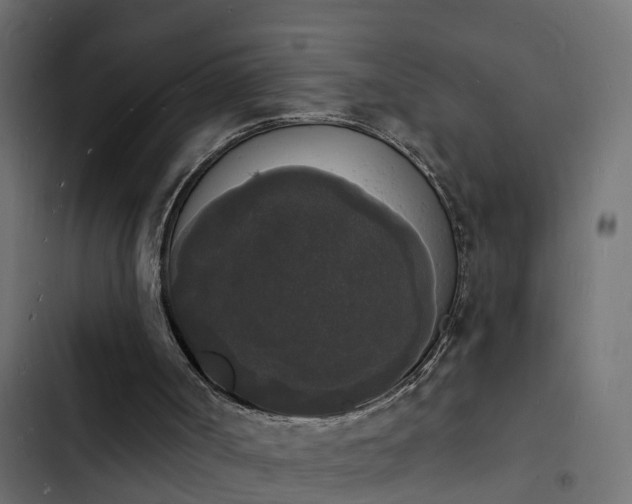 X0000103970002200809261844