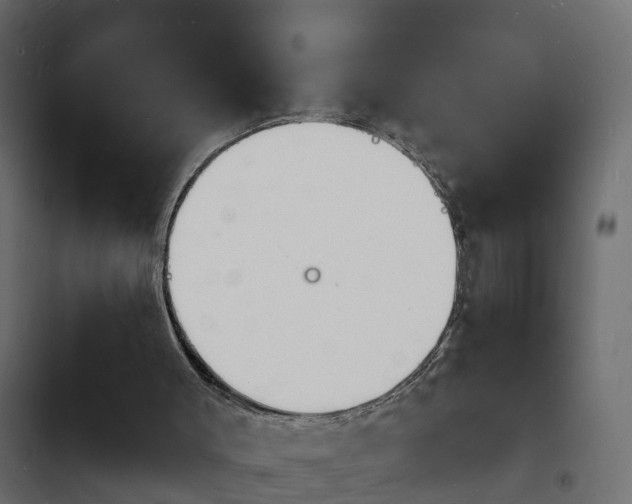 X0000103970003200809261844