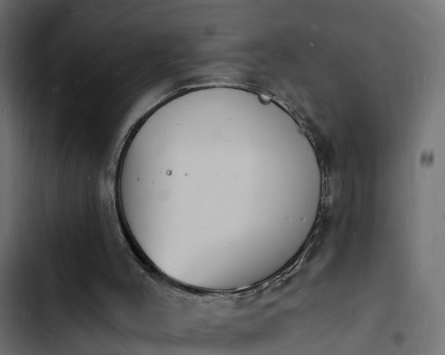 X0000103970004200809261844