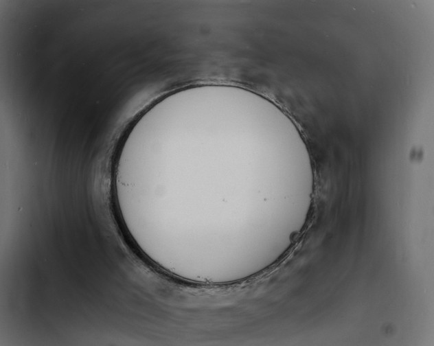 X0000103970005200809261844