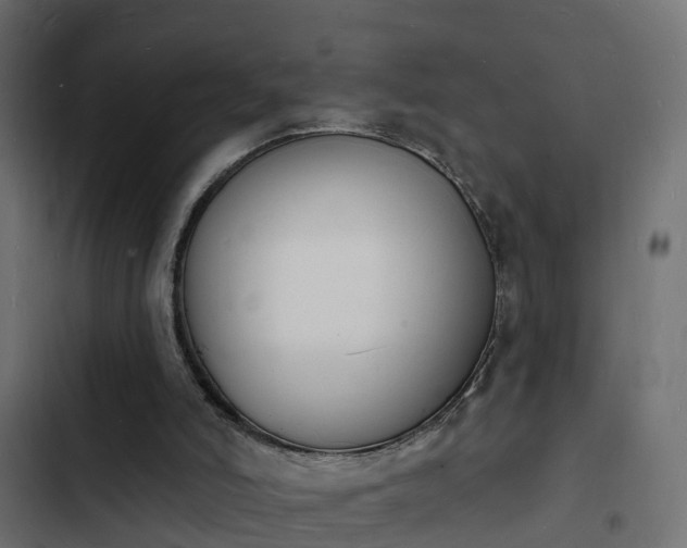 X0000103970006200809261844