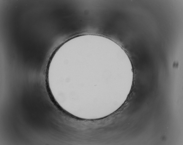 X0000103970007200809261844