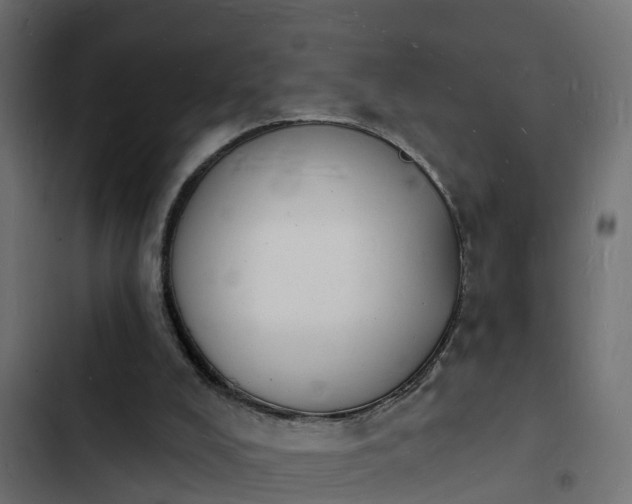 X0000103970008200809261844