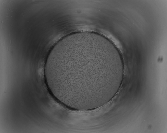 X0000103970009200809261844