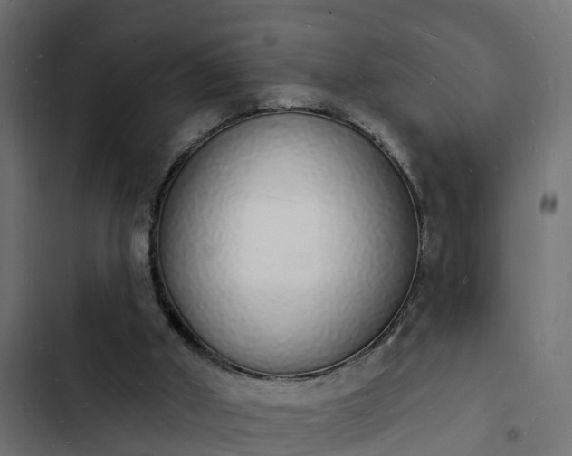 X0000103970010200809261844