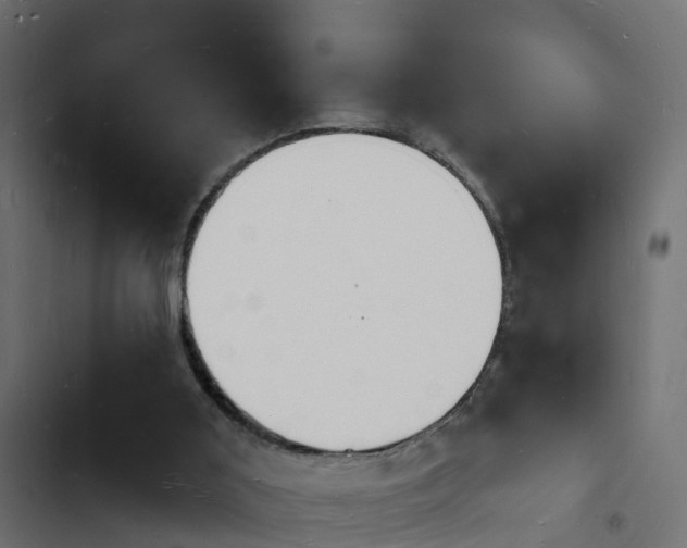 X0000103970011200809261844