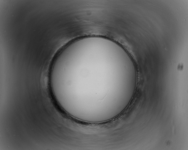 X0000103970012200809261844