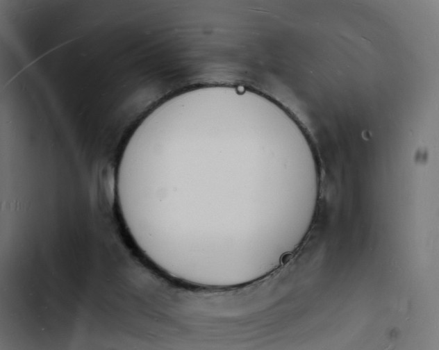 X0000103970013200809261844