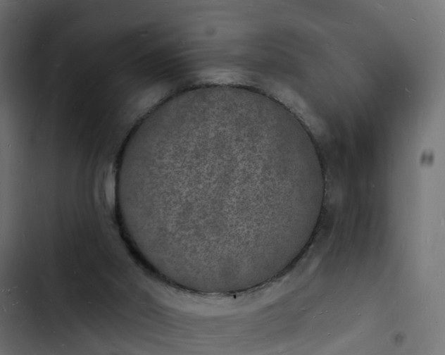 X0000103970014200809261844