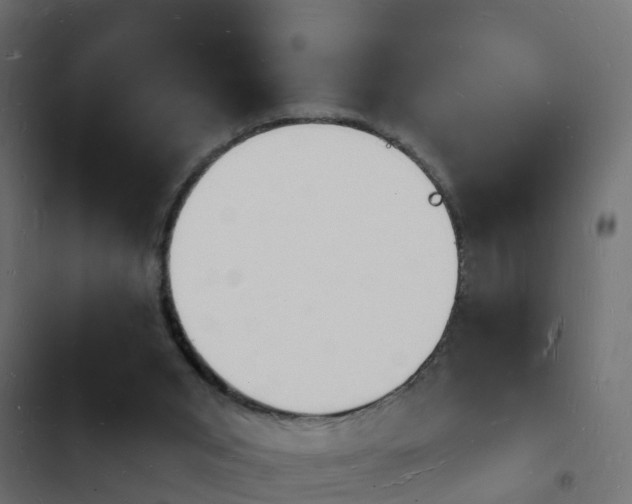 X0000103970015200809261844