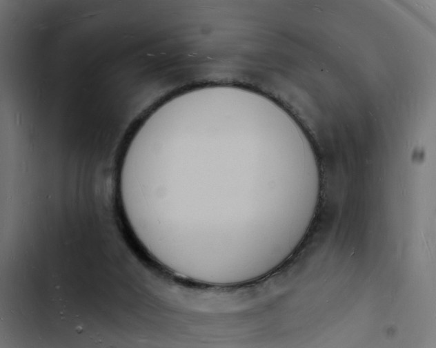 X0000103970016200809261844