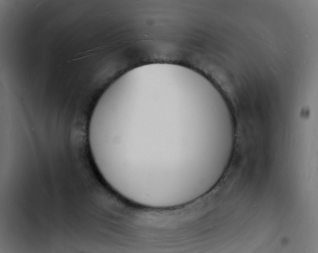 X0000103970017200809261844