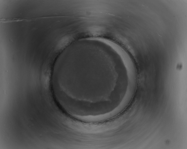 X0000103970018200809261844