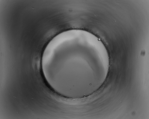 X0000103970019200809261844