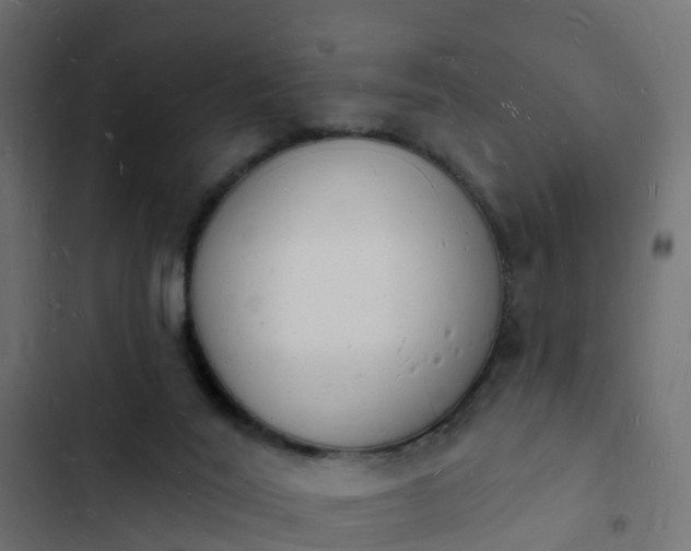 X0000103970020200809261844