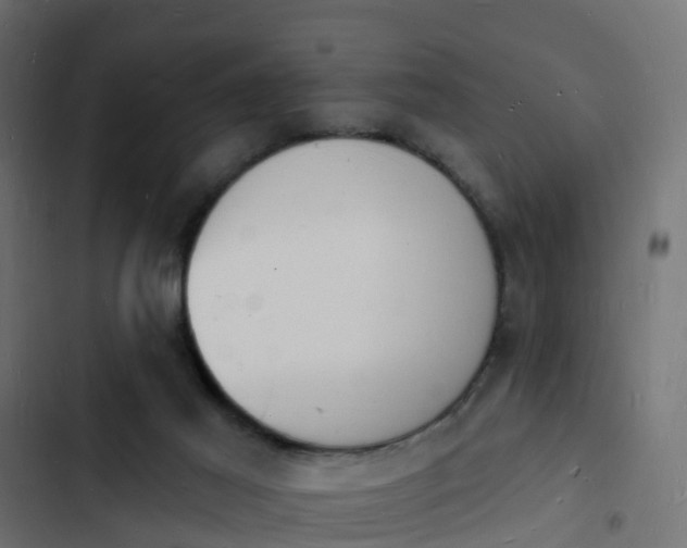 X0000103970021200809261844