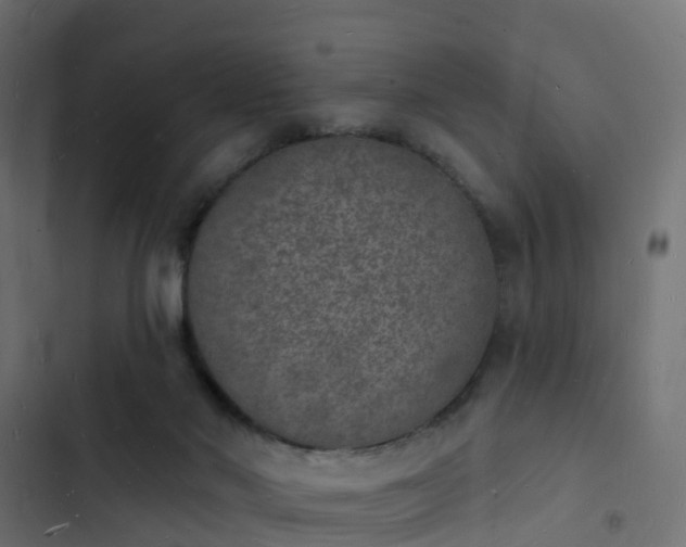 X0000103970022200809261844