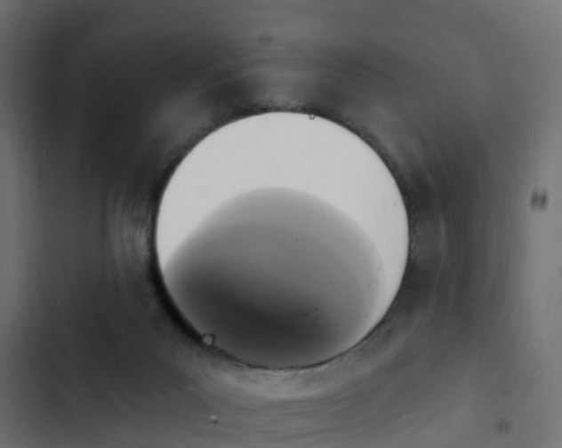 X0000103970023200809261844