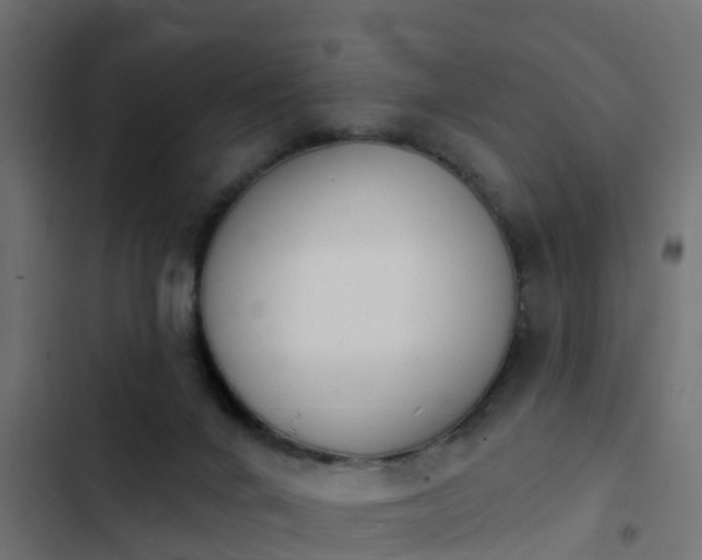 X0000103970024200809261844