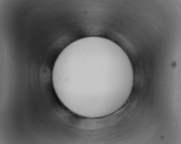 X0000103970025200809261844