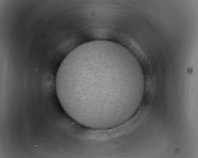 X0000103970029200809261844