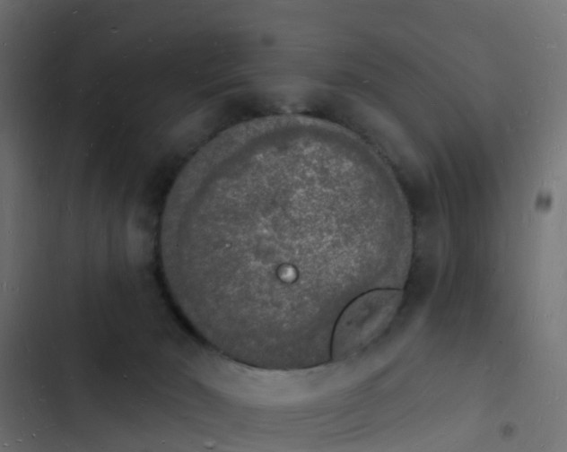 X0000103970030200809261844