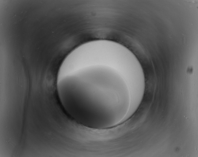 X0000103970031200809261844