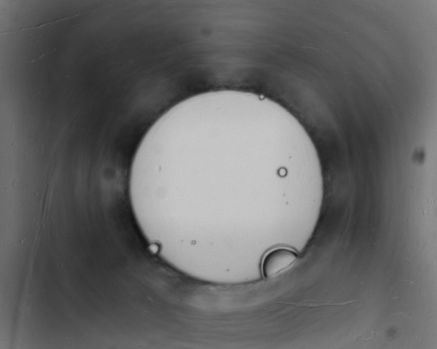 X0000103970033200809261844