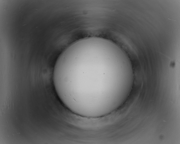 X0000103970034200809261844