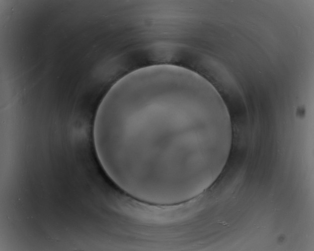 X0000103970035200809261844