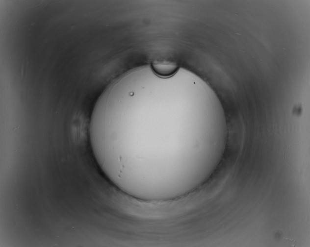 X0000103970038200809261844