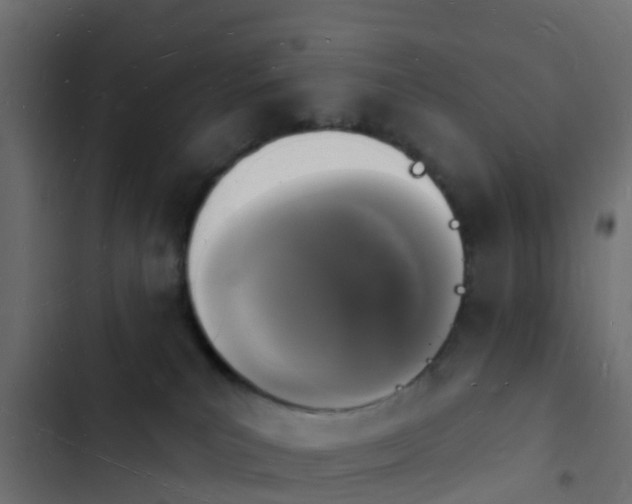 X0000103970039200809261844