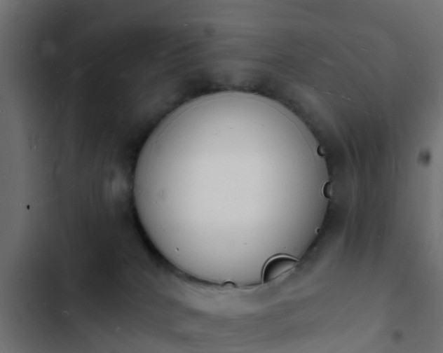 X0000103970040200809261844