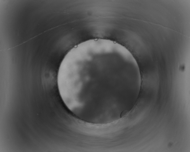 X0000103970043200809261844