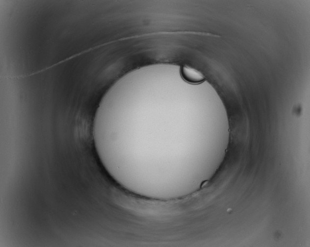 X0000103970044200809261844