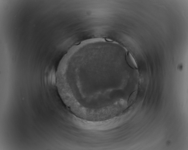 X0000103970046200809261844